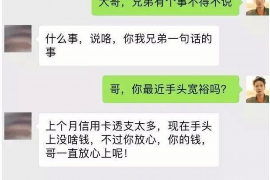 西双版纳为什么选择专业追讨公司来处理您的债务纠纷？